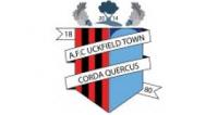 AFC Uckfield Town