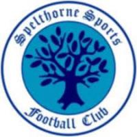 Spelthorne Sports